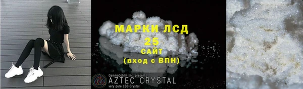 ECSTASY Алзамай